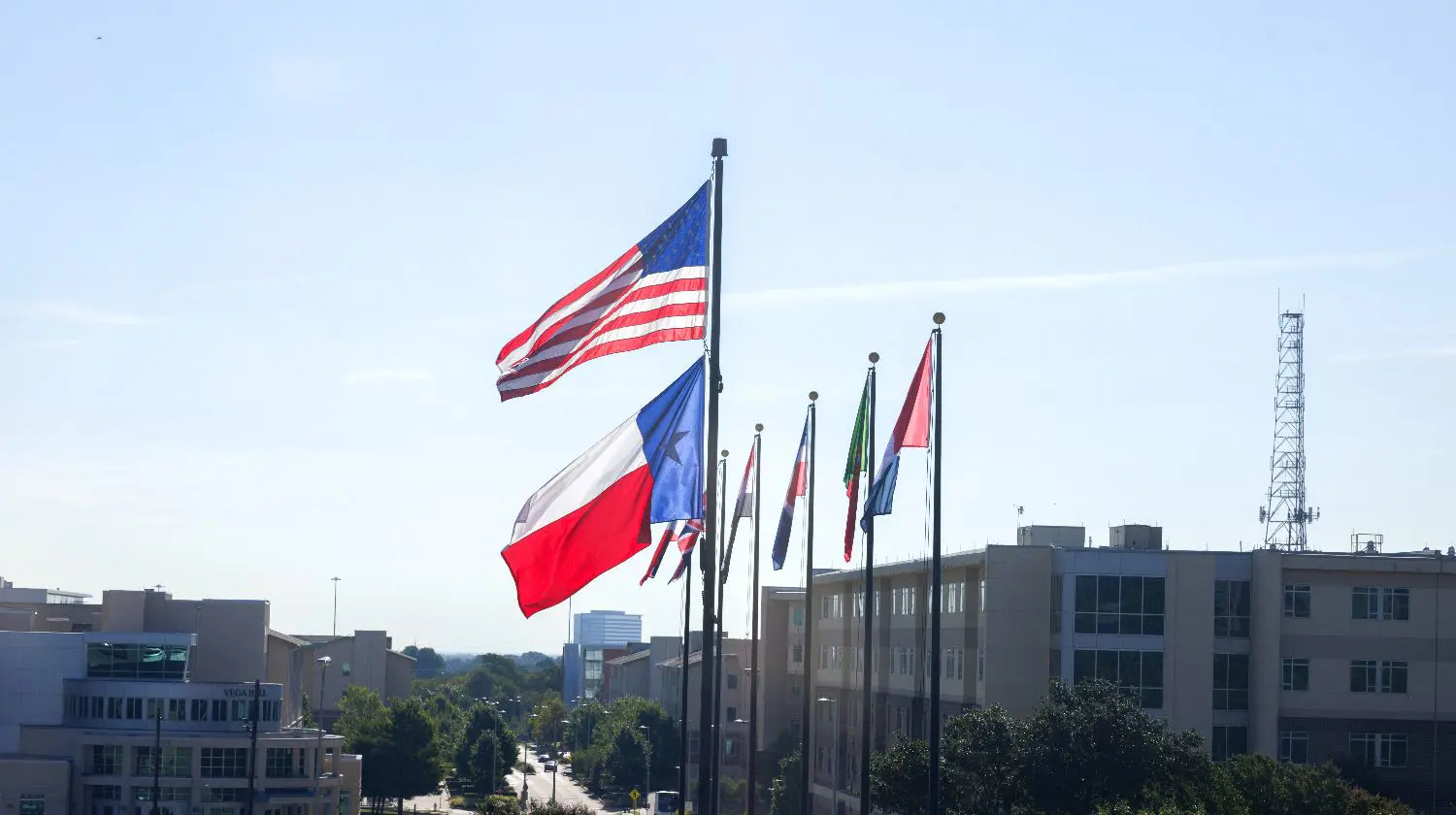 View of flags at DIS.